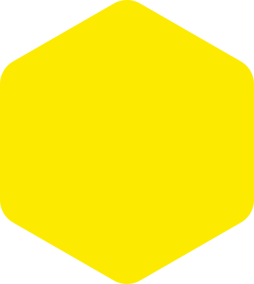 https://www.delec-06.fr/wp-content/uploads/2023/11/hexagon-yellow-huge.png